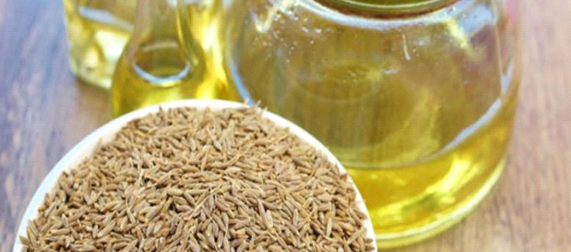 Caraway Essential Oil Supplier , Manufacturer In India, Use- Benefits